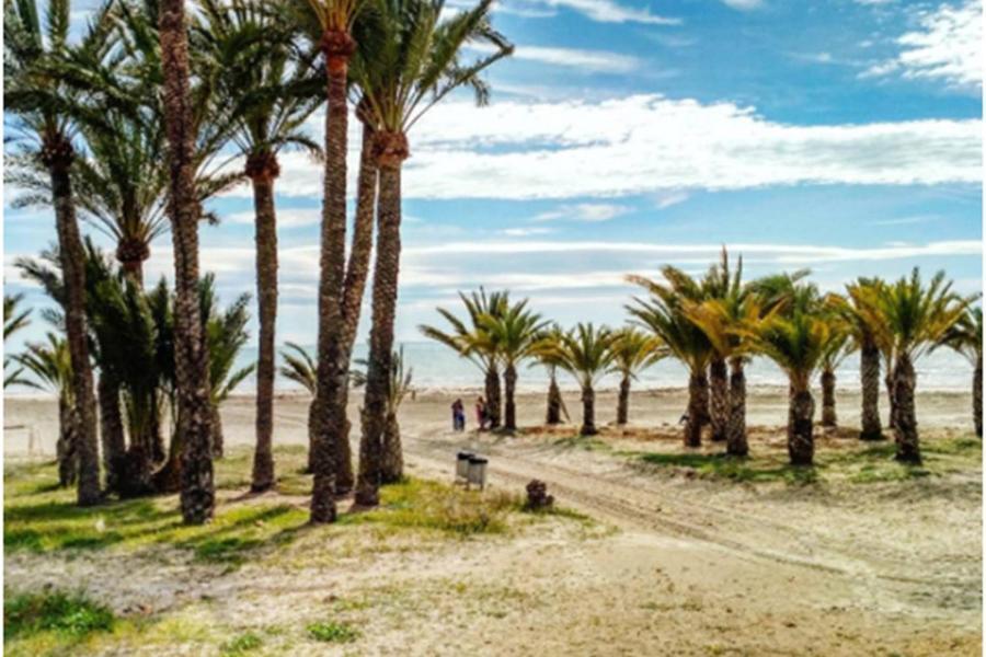 Apartamentoen La Playa, 200 Mts De La Playa Nuevo Santa Pola Exterior photo